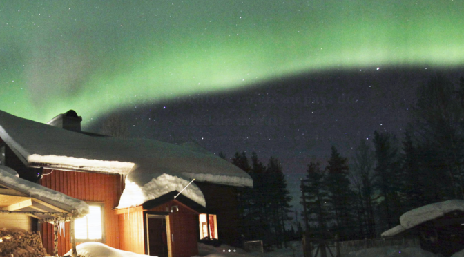 Vivez un séjour chien de traîneau en Suède et faites le plein d’activités nature