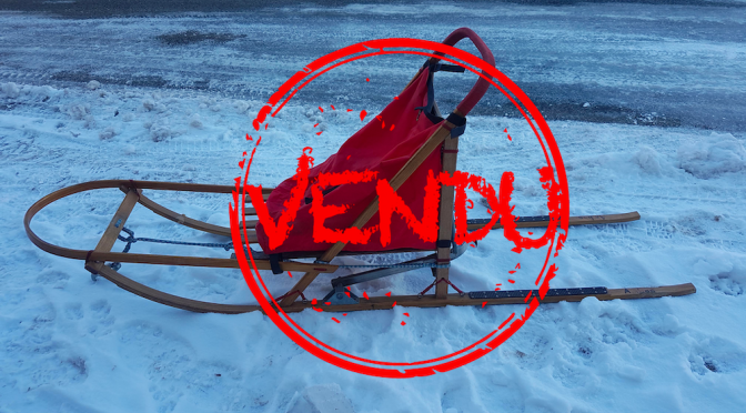 Traineau enfant avec sac à chien