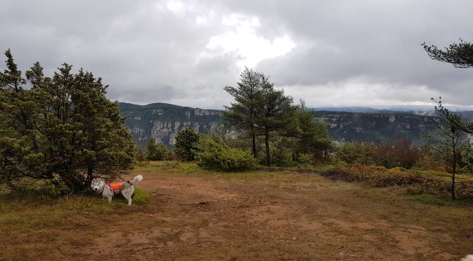 Recherche de stage handler