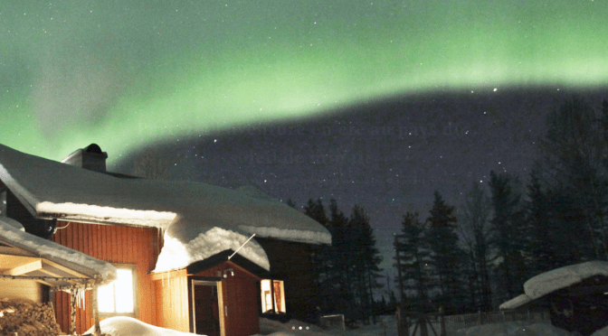 Cherche handler en Laponie suédoise