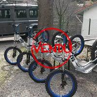 4 cani trottinettes EVO GLOBE 3T à vendre – VENDU