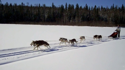 Stan Morgan offre un poste de handler au Canada pour la saison 2020/2021