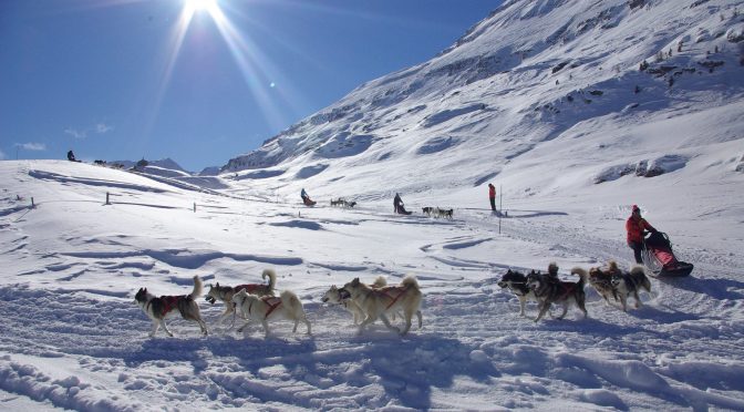 Husky Adventure offre des postes de mushers pour l&rsquo;hiver 2019-2020