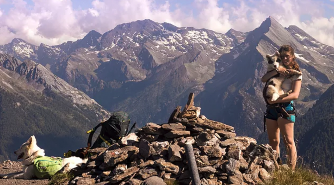 TERMINÉ | Recherche poste de musheuse pour l&rsquo;hiver 2019-2020 et plus