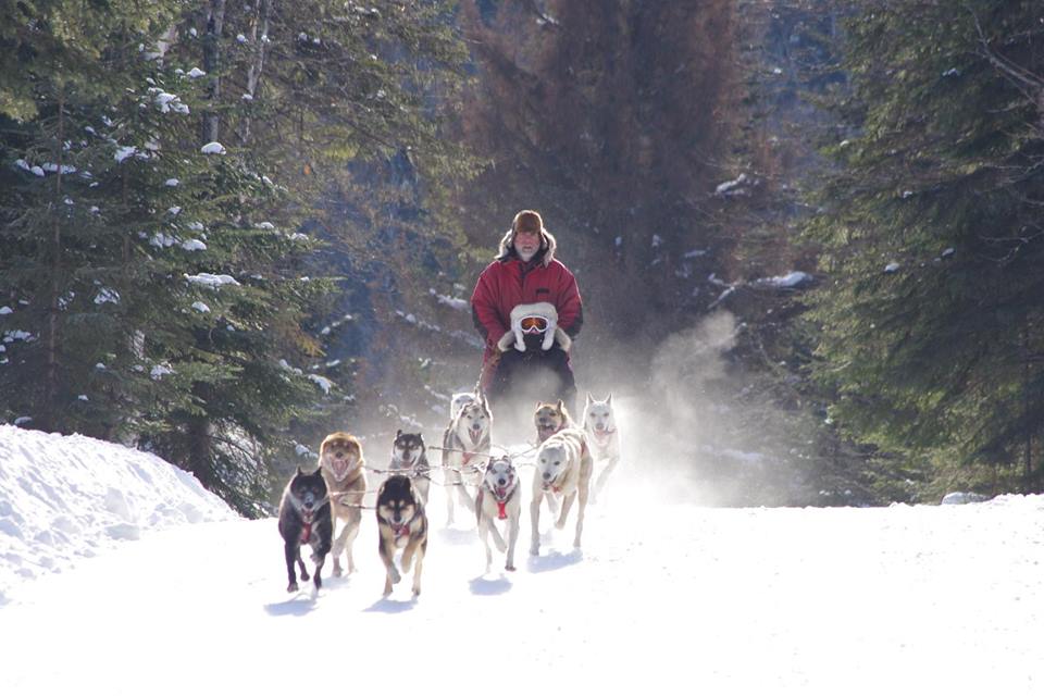 Recherche Handler au Canada