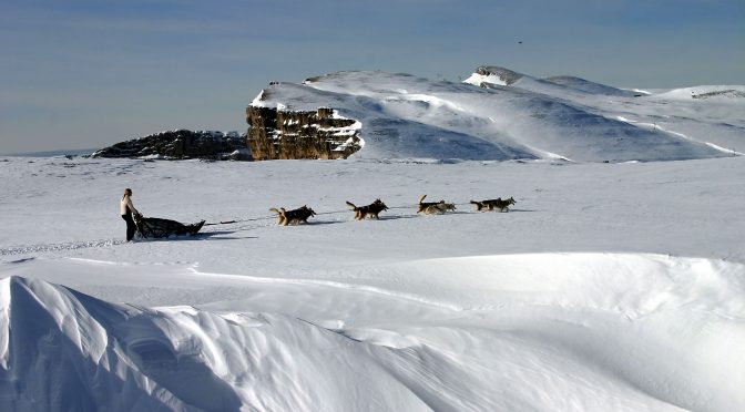 L&rsquo;équipe de la Draye Blanche recherche des mushers pour 2021-2022