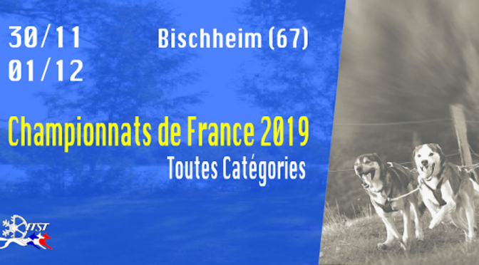 Résultats des championnats de France🇫🇷 de dryland (courses de chiens sur terre) 2019