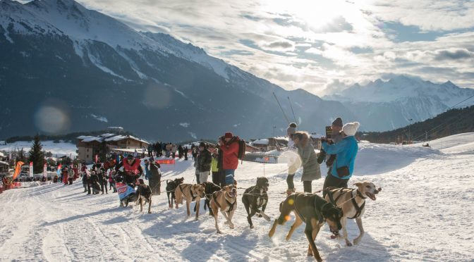 Programme et résultats de La Grande Odyssée Savoie Mont Blanc, édition 2020