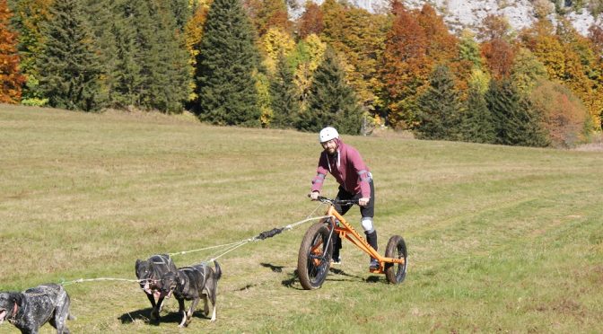 DÉJA VENDUS – Karts Traczer à vendre d&rsquo;occasion