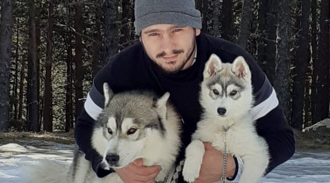 Recherche poste de handler pour la saison 2020-2021