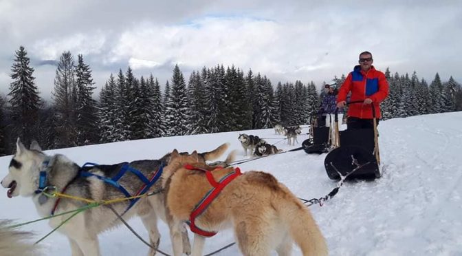 Handler recherche un poste