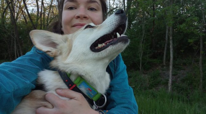 Handleuse motivée : Recherche poste et/ou stage – Titre Musher en cours