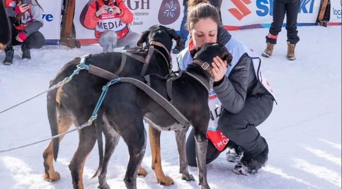 Handler recherche un poste pour 2021