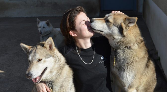 Candidature pour un poste de handler pour la saison hivernale 2020-2021