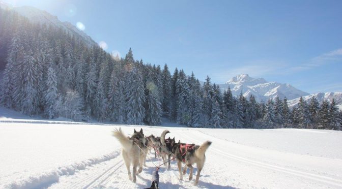 L&rsquo;équipe d&rsquo;Escapades nordiques recrute des mushers en Savoie pour l&rsquo;hiver 2020-2021