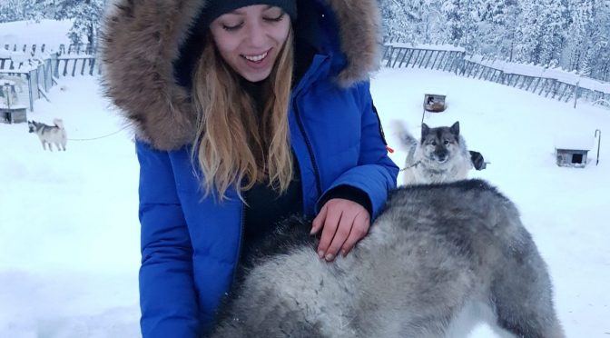 Recherche poste de Handleuse pour la saison 2020-2021