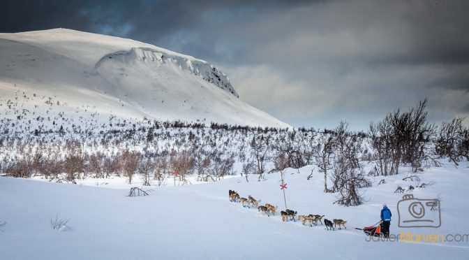 poste COMBLÉ – Offre de poste de handler en Suède