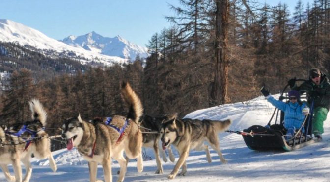 MUSHANDCO basé à Vars, dans les Hautes-Alpes, recrute pour la saison hiver 2021 – 2022