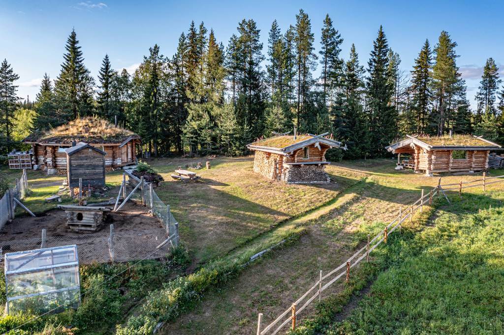 Activité touristique de chiens de traîneau à vendre