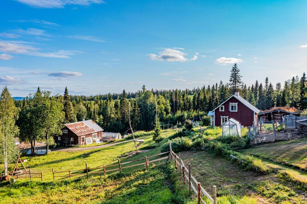 Activité touristique de chiens de traîneau à vendre