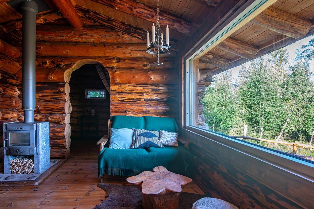 Activité touristique de chiens de traîneau à vendre