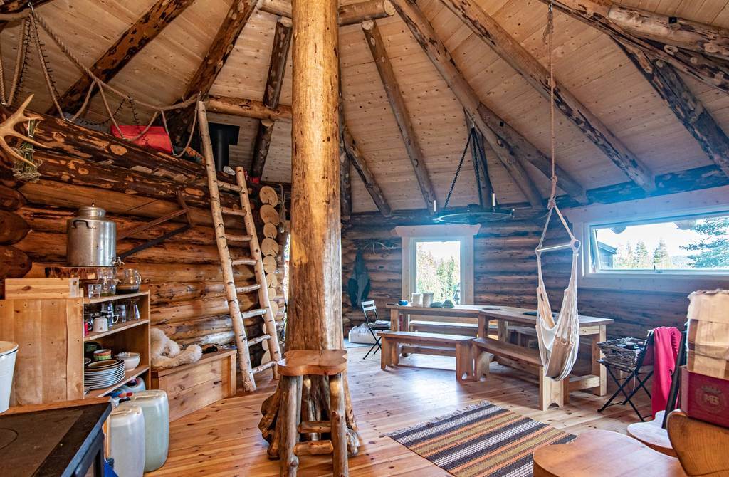 Activité touristique de chiens de traîneau à vendre