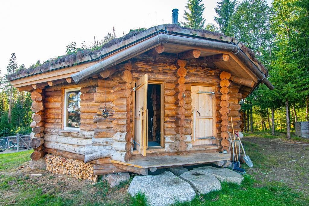 Activité touristique de chiens de traîneau à vendre