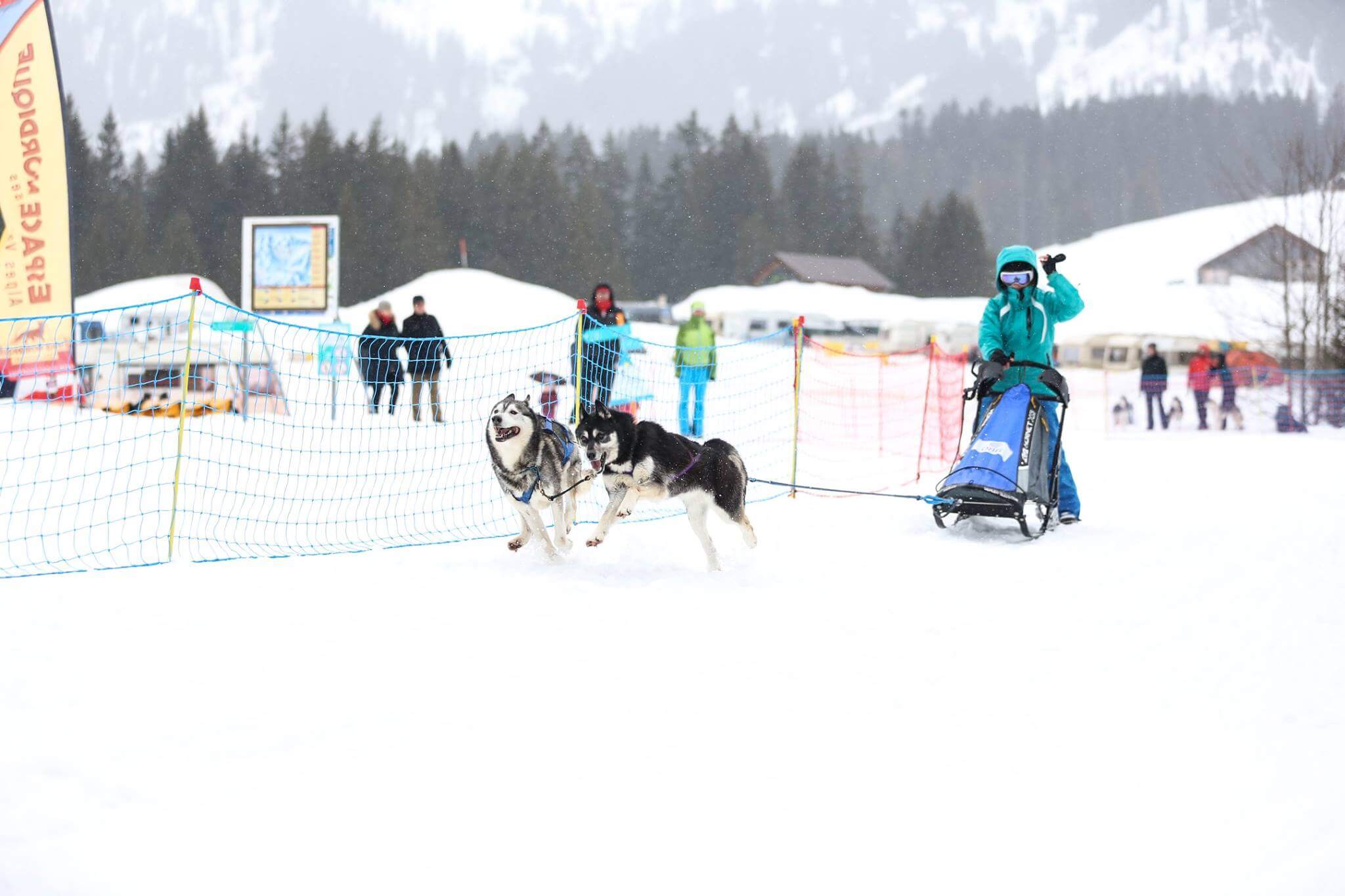 Course de chiens de traineaux des Mosses, en Suisse, les 5 et 6 mars 2022 Le coin des mushers