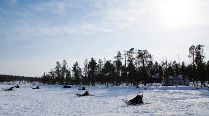 DÉJÀ VENDU – Camp de chiens de traineau en Laponie finlandaise
