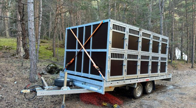 Remorque double essieux + caisse de transport 20 Boxes